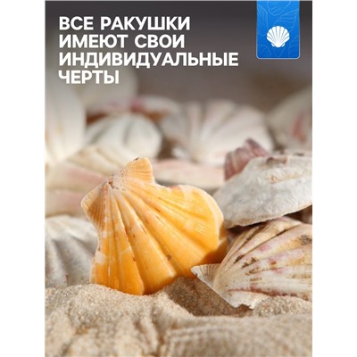 Набор ракушек, 4 - 5 см, 100 г