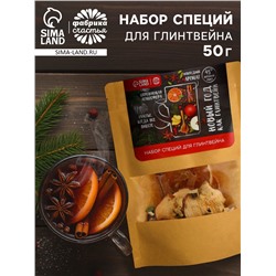 Набор специй для глинтвейна «Новый год как глинтвейн», 50 г