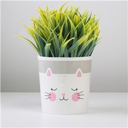 Кашпо для цветов «Котик», 1.6 л