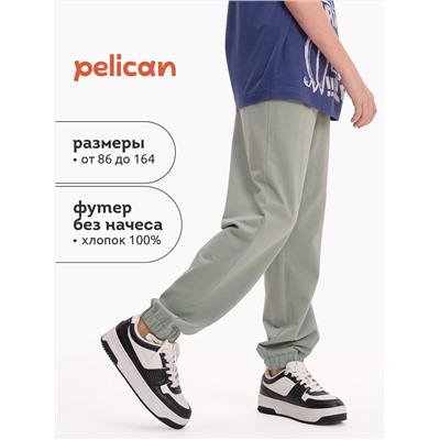 PELICAN Брюки BFPQ3321U