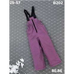 Брюки B202 сирень