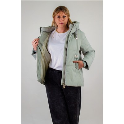 Куртка с капюшоном арт. 3052 евро-зима, демисезон НАТАЛИ, 1215377