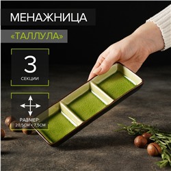 Менажница 3 секции «Таллула», 20.5×7.5×2.5 см, керамика