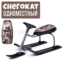 Игрушка Снегокат детский 206 "Teens"с высокой рамой (Уол-Стрит)