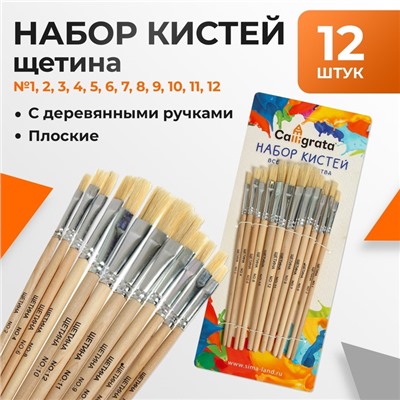 Набор кистей для рисования, щетина, 12 штук: № 1, 2, 3, 4, 5, 6, 7, 8, 9, 10, 11, 12, плоские, деревянная ручка, международный размер