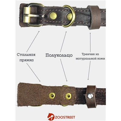 Ошейник безразмерный, 40×2 см, с подпряжником, кожа, коричневый