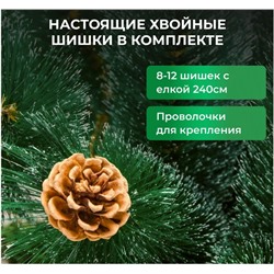 Сосна новогодняя 240 см, ёлка