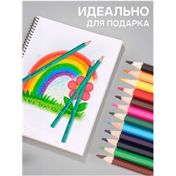Карандаши Calligrata, цветные, 12 цветов, ЭКОНОМ, шестигранные, пластиковые, пенал-тубус и 3 чернографитных карандаша с ластиком в ПОДАРОК