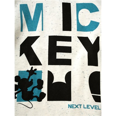 Фуфайка трикотажная для мальчиков (футболка с длинными рукавами)