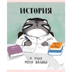 Тетрадь 48л "Манул Манулыч" по истории ТТК489322 Эксмо