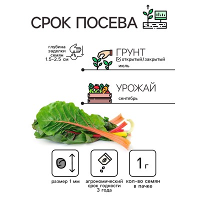 Семена Мангольд «Павлиний хвост», смесь, 1 г, однолетник, раннеспелый, «Рецепты дедушки Никиты»