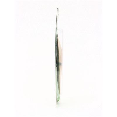 Панцирь каракатицы для птиц 13-15 см, белый