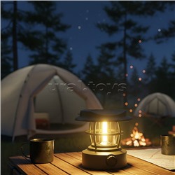 Светильник "Страж ночи" в коробке