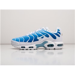 Кроссовки Nike Air Max Plus TN