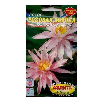 Лотос Розовая корона (Аэлита)