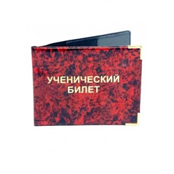 Обложка для удостоверения #22595979