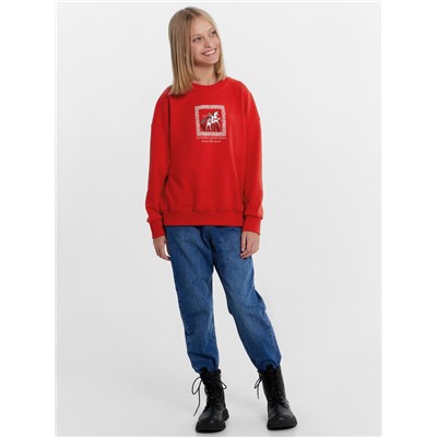 СВИТШОТ ДЛЯ ДЕВОЧЕК 127897/1