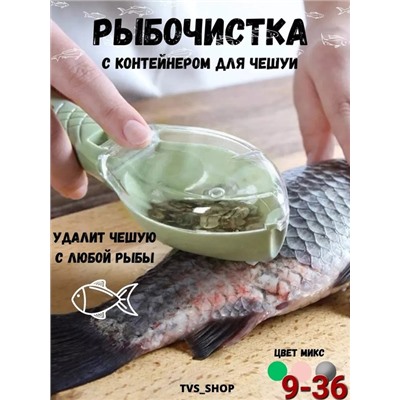 Рыбочистка #22835876