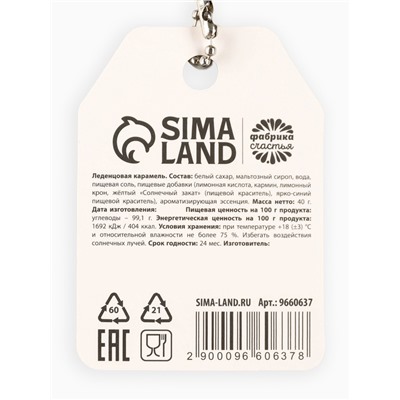 Леденцы «Приношу удачу» в кошельке, со вкусом винограда, 40 г