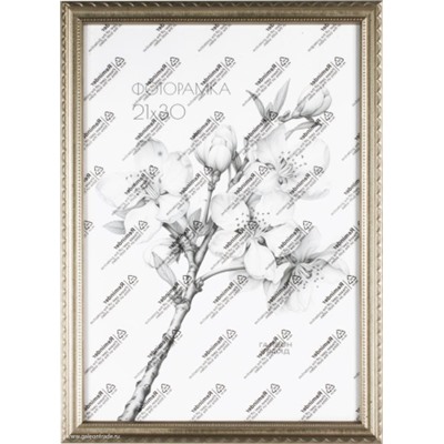 Фоторамка 21х30 с акриловым стеклом / 1707E-28E /уп10