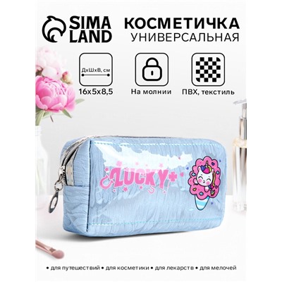 Косметичка на молнии объёмная, с подкладкой, маленькая, с принтом, голубая