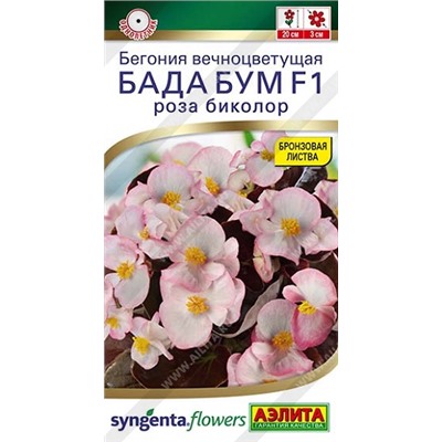 Бегония Бада Бум роза биколор (Код: 93142)