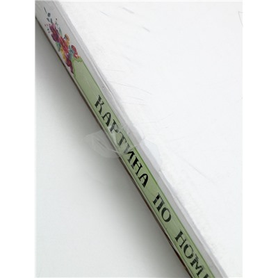 УЦЕНКА Картина по номерам 40×50 «Весеннее аниме», 26 цветов