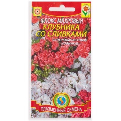 Флокс Клубника со сливками (Код: 76137)