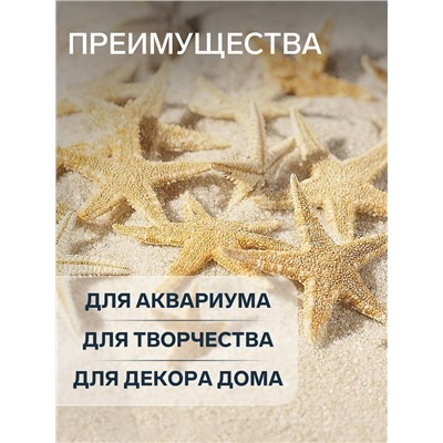 Набор натуральных морских звезд, 1.5 - 2.5 см, 20 шт.