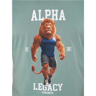 КОМПЛЕКТ МУЖСКОЙ (ФУТБОЛКА, ШОРТЫ) 591044