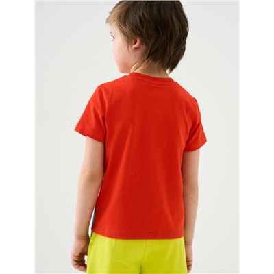 Фуфайка трикотажная для мальчиков (футболка)