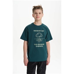 BFT3370/3 (Футболка для мальчика, Pelican )