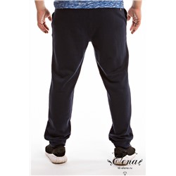 Брюки М11704ВШв