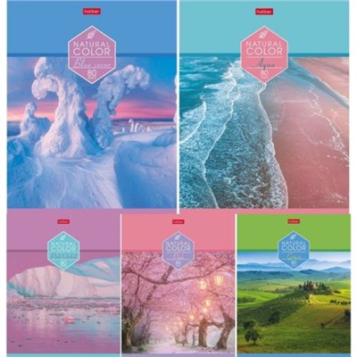 Тетрадь  80л линия "Colour" (064477) Хатбер