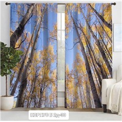 Комплект штор без тюля 3*2,6 м