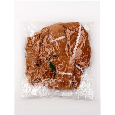 Костюм «Новогодняя печенька», M (ДС 25, ОГ 37 см)