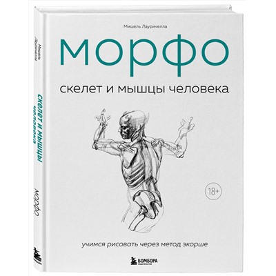 Эксмо Мишель Лауричелла "МОРФО. Скелет и мышцы человека. Анатомия для художников"