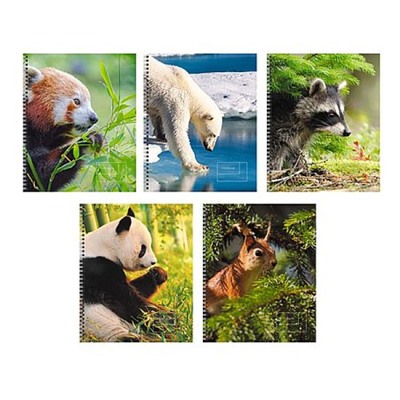 Тетрадь  80л линия на спирали "Дикие животные" ТСЛ808563 Listoff