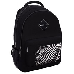 Рюкзак школьный "EasyLine. Nirvana" 20L 44х23х33 см 62999 ErichKrause