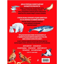Эксмо Дмитрий Лукашанец, Екатерина Лукашанец "Красная книга России. Млекопитающие, птицы, рептилии, амфибии, рыбы, насекомые"