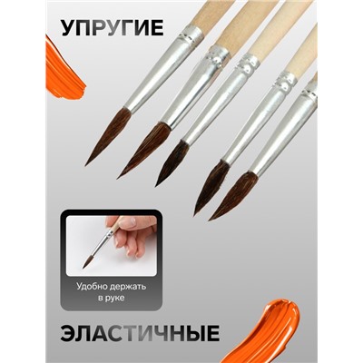 Набор кистей для рисования, белка, 5 штук: № 1, 2, 3, 4, 5, круглые, деревянная ручка, международный размер
