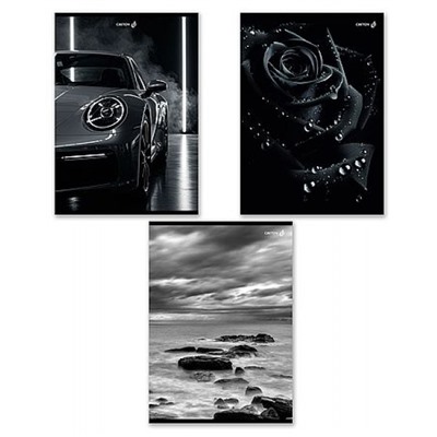 Тетрадь А4  48л клетка "Магия черного" Т152 01756 SVETOCH