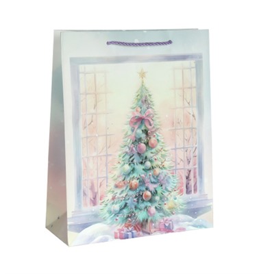 Пакет подарочный 18х24х8,5 / 6062-S /уп 12/720/Новый год