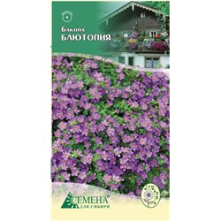 Бакопа Блютопия, 5сем (цв.)