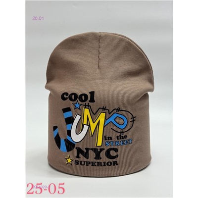 шапка 2054020-2