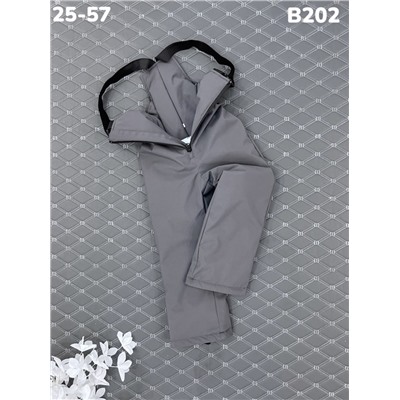 Брюки B202 серый