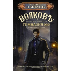 386750 АСТ Валерий Пылаев "Волков. Гимназия №6"