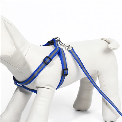 Комплект со светоотражающей лентой, ширина 1 см, поводок 120 см, шлейка 26-40 см, синий