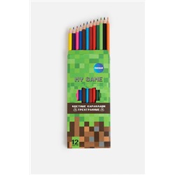 Карандаши цветные 12 цветов Pixee разноцветный ACOOLA, 1048517