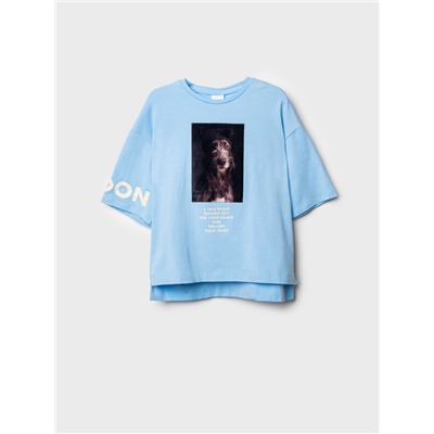 Фуфайка трикотажная для девочек (футболка)